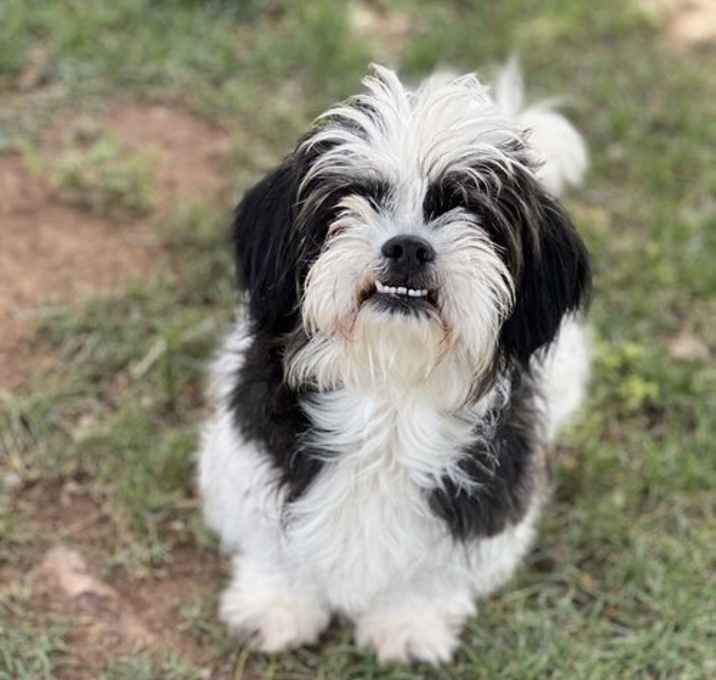 Photo of Penelope