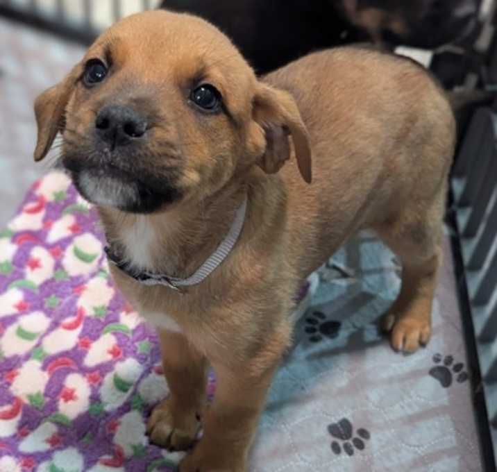 Photo of Clifford