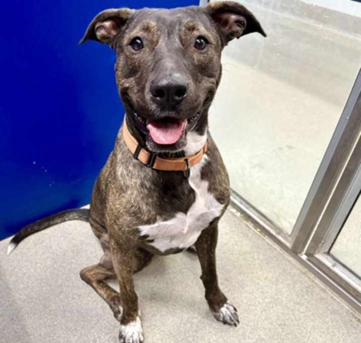 Photo of Athena