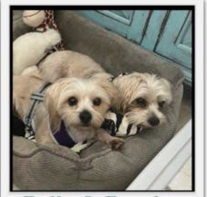Photo of Bentley