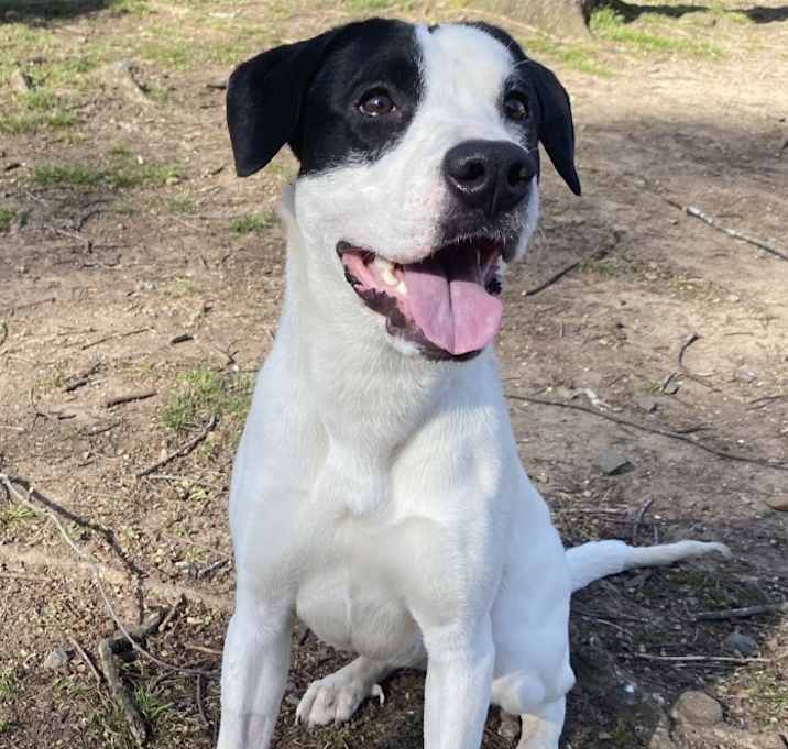 Photo of Zeus