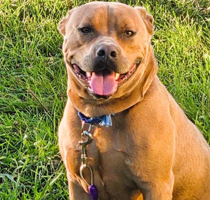 Photo of Bourbon