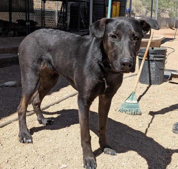 Photo of Maximus