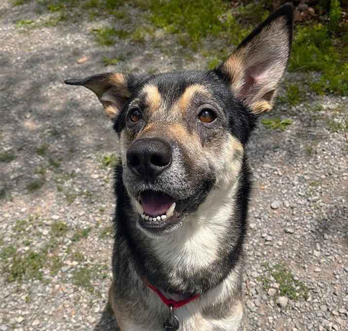Photo of CHIEF