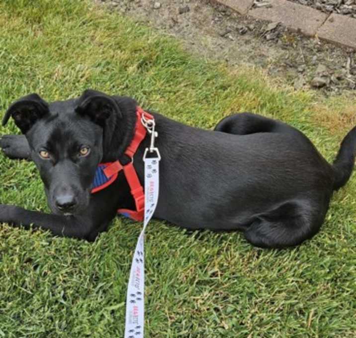 Photo of Stanley