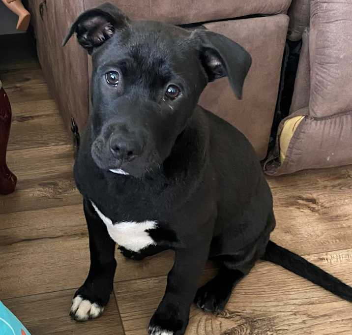 Photo of Max