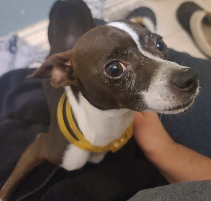 Photo of Little thing