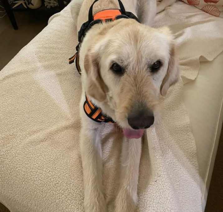 Photo of Oakley