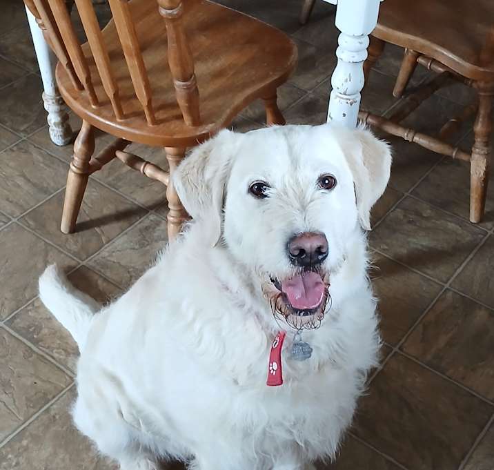 Photo of Rookie