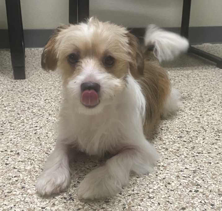 Photo of Rocko