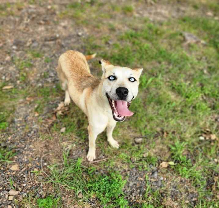 Photo of Loki