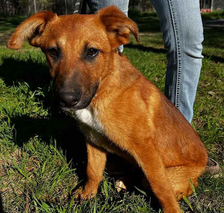 Photo of Klaus