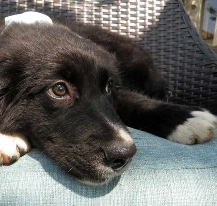 Photo of Vinnie