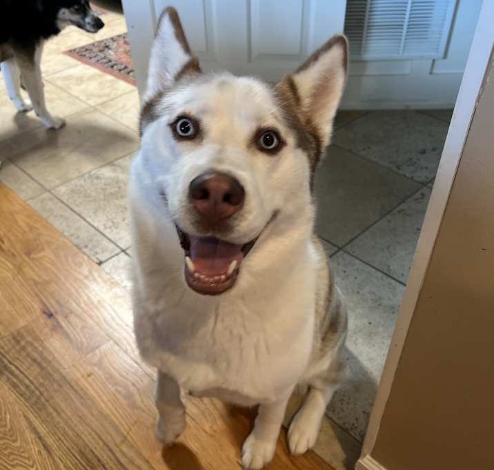 Photo of Blue