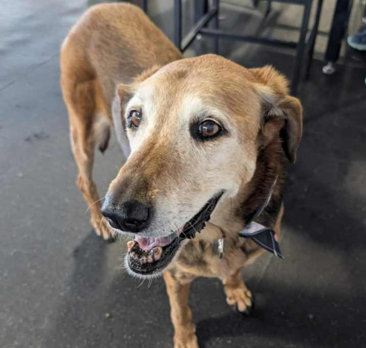 Photo of SUSIE