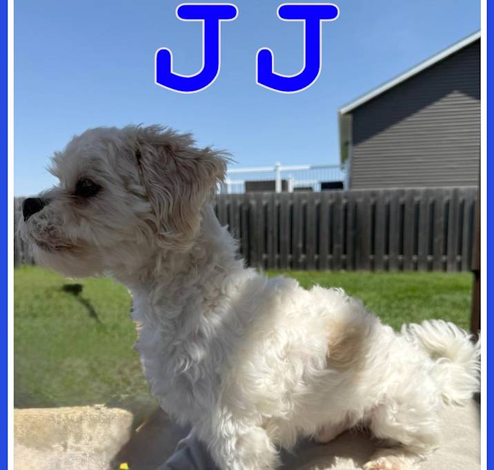 Photo of JJ