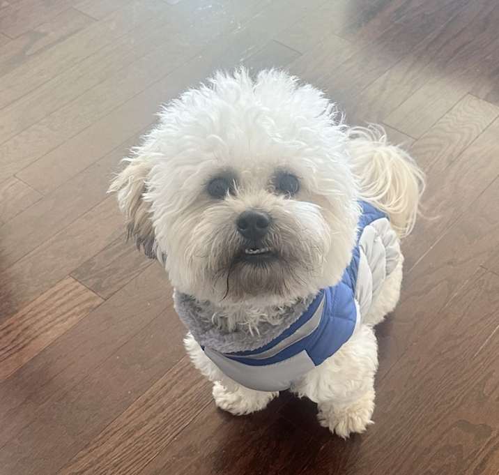 Photo of Leo