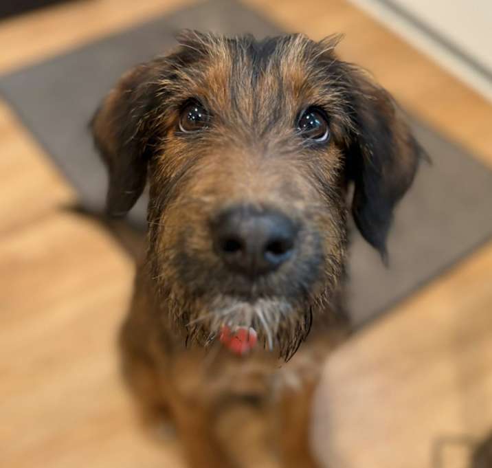 Photo of Matilda