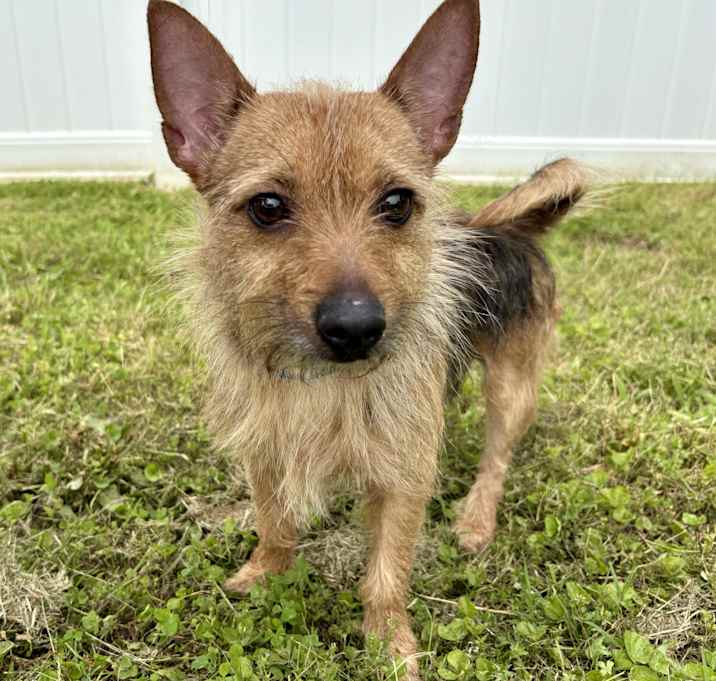 Photo of Mr. Banks