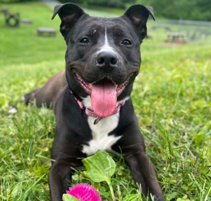 Photo of Rogue