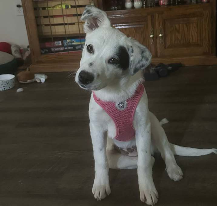 Photo of Nelly