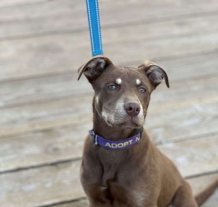Photo of Zoe
