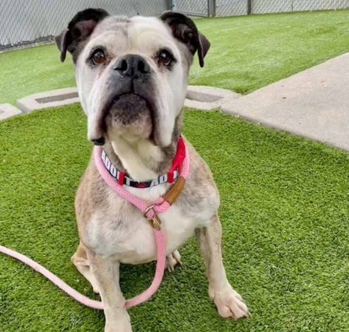Photo of Mabel
