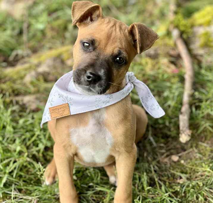 Photo of Oakley