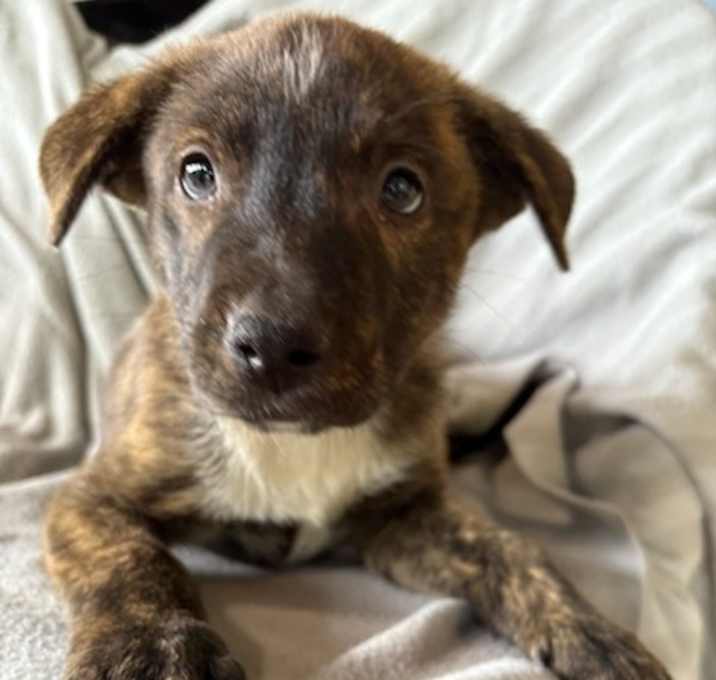 Photo of Poco