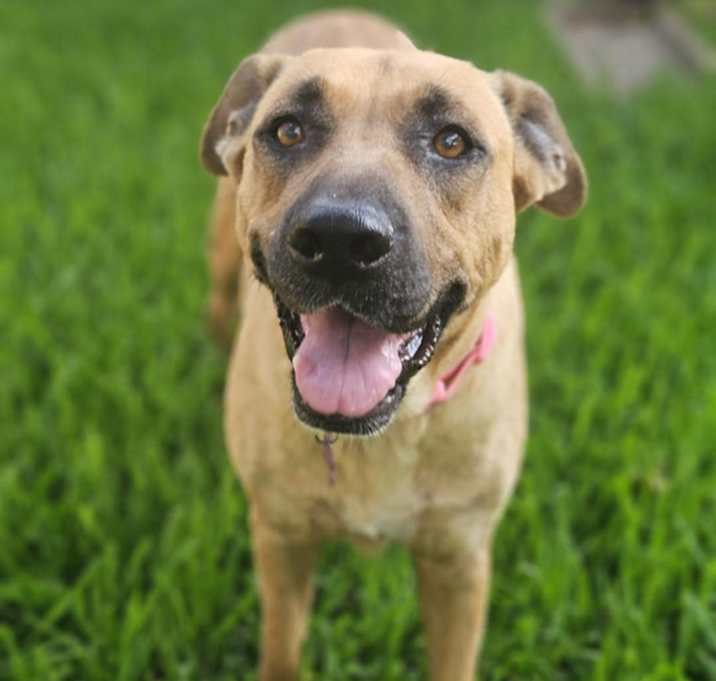 Photo of Sandy