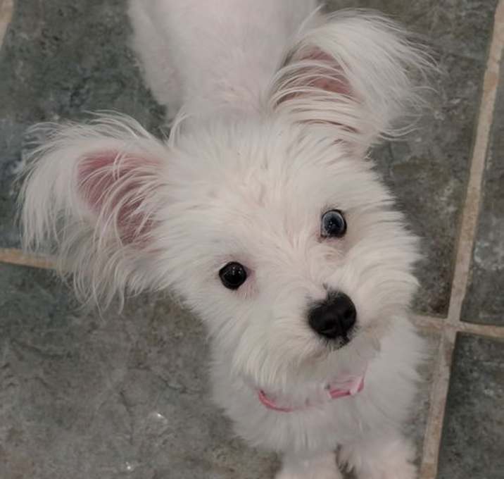 Photo of Matilda