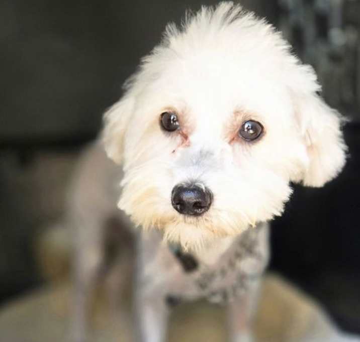 Photo of SK Archie