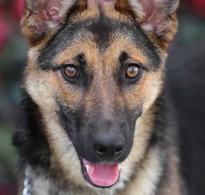 Photo of Brynn von Bamberg