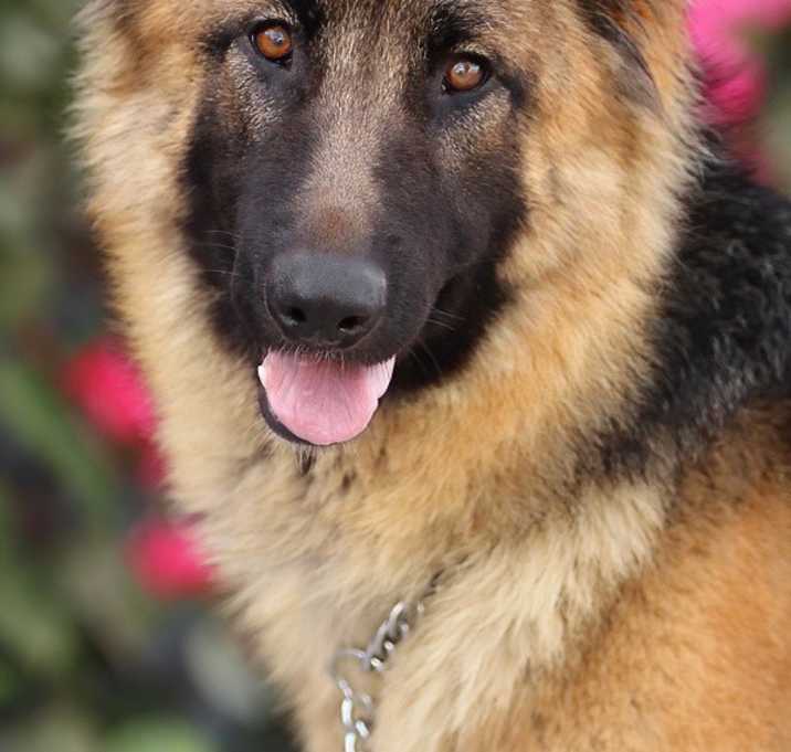 Photo of Tina von Lorch