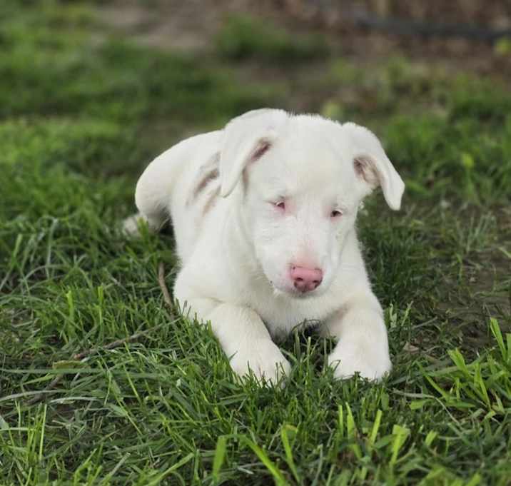 Photo of Duncan