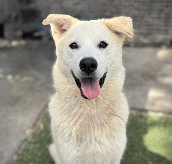 Photo of CLOUD