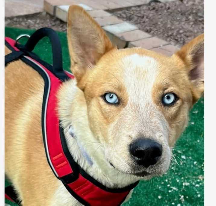 Photo of Murphy