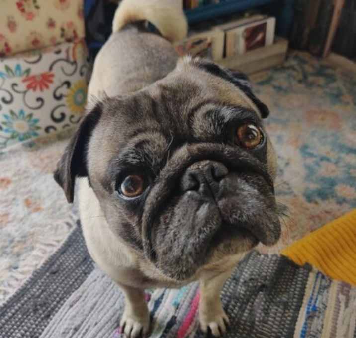 Photo of Simon