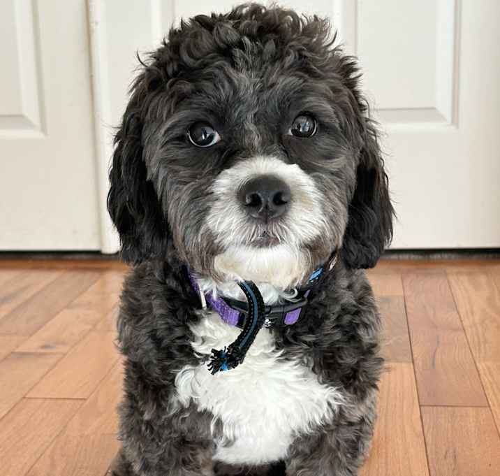 Photo of Stormy