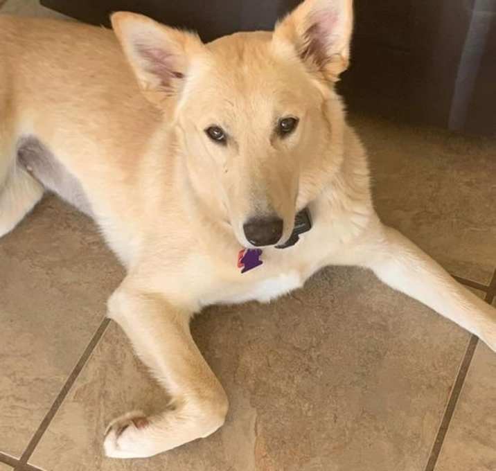 Photo of Kida