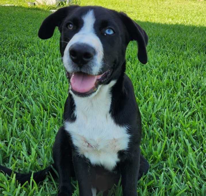 Photo of CA Gus