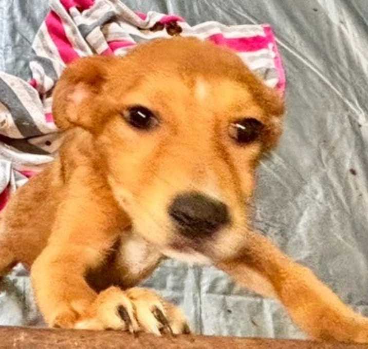 Photo of Mitzi