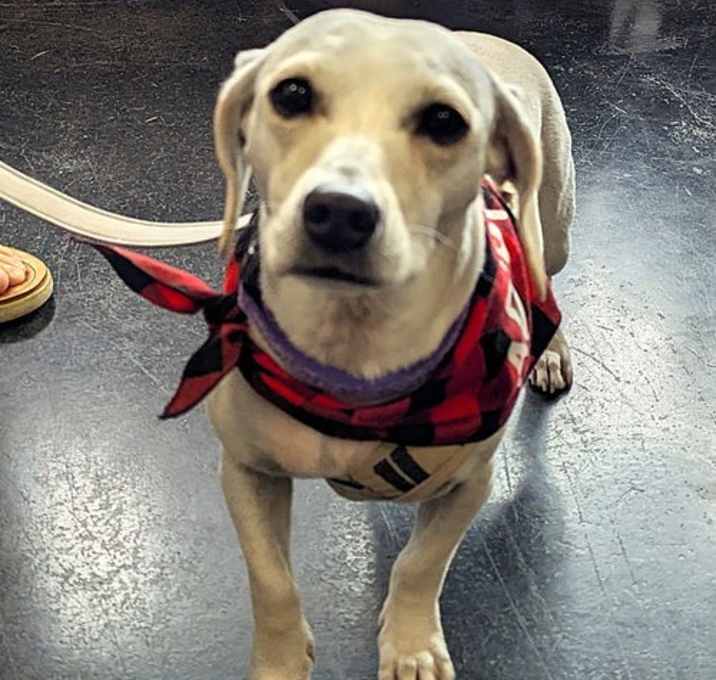 Photo of Pearla