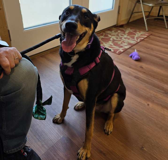 Photo of Ruby