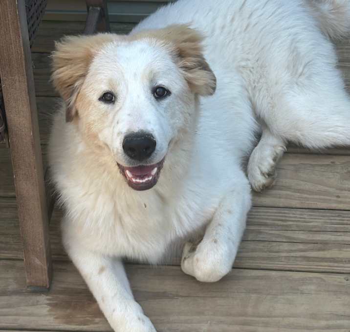 Photo of Hunter