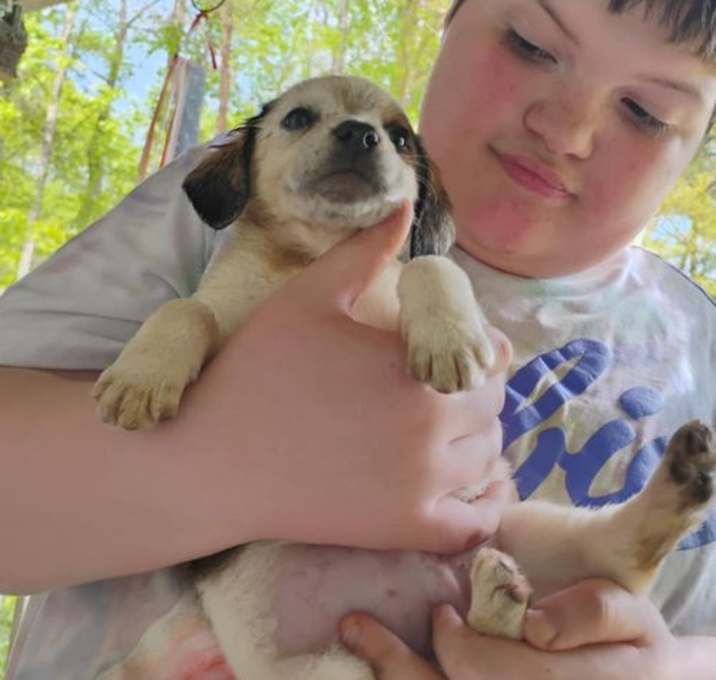 Photo of Tori's Litter Phoenix