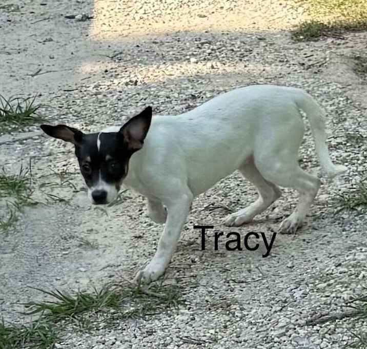 Photo of Tracy