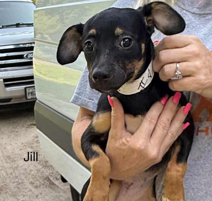 Photo of Jill