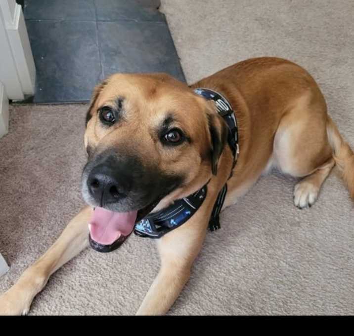 Photo of Daemon