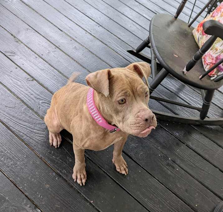 Photo of Rosie